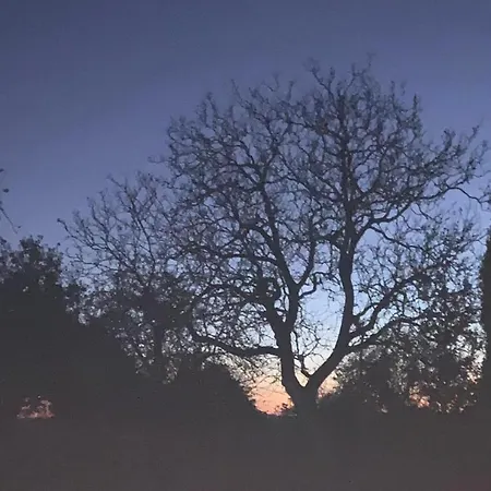 House - Sleeps 6 - Parking - Garden 公寓 Brece (Mayenne)